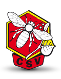 Logo_csv.png - 11,12 kB